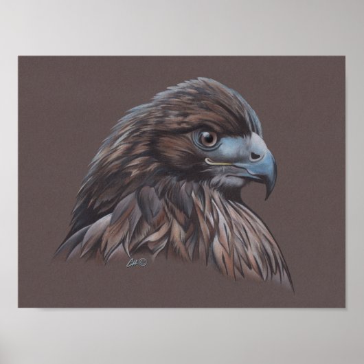 ホーク ポスター (正面)