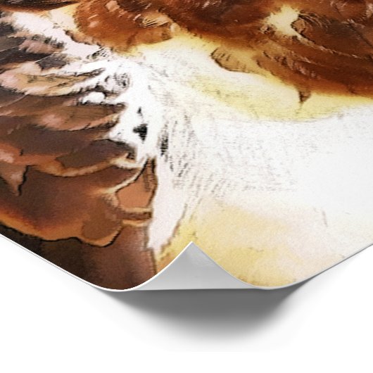 ホーク ポスター (角)