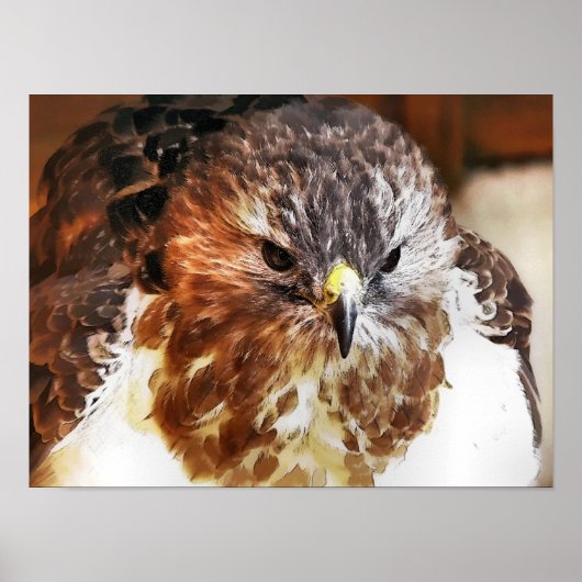 ホーク ポスター (正面)