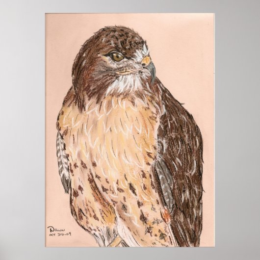 ホーク ポスター (正面)