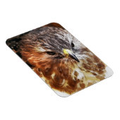 ホーク マグネット (右側)