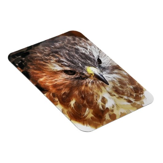 ホーク マグネット (右側)