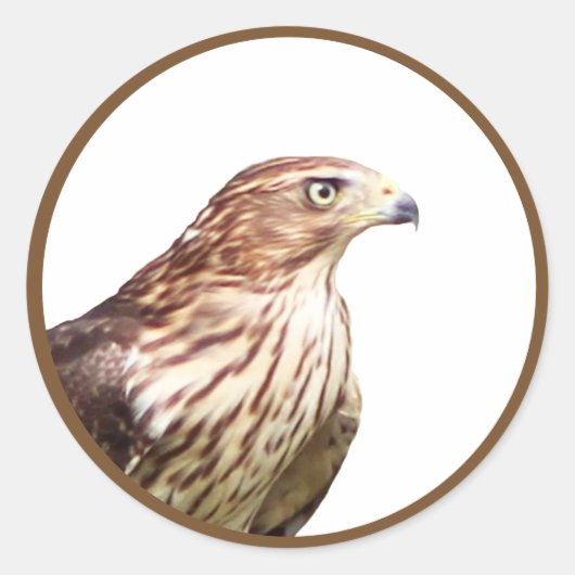 ホーク ラウンドシール (正面)