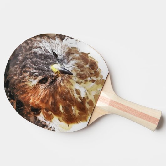 ホーク 卓球ラケット (横)