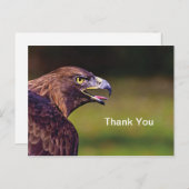 ホーク 感謝のポストカード ポストカード (正面/裏面)
