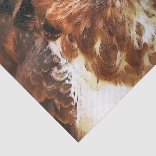 ホーク 薄葉紙 (詳細)