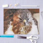 ホーク 薄葉紙 (クラフト)