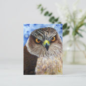 ホーケイズ ポストカード (スタンド正面)