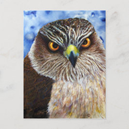 ホーケイズ ポストカード