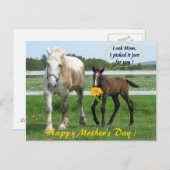 ホーシーの母の日 ポストカード (正面/裏面)