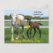 ホーシーの母の日 ポストカード (正面)