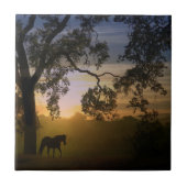 ホースと伝統オークツリー南西サンセット タイル (正面)