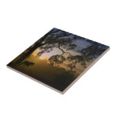 ホースと伝統オークツリー南西サンセット タイル (側面)