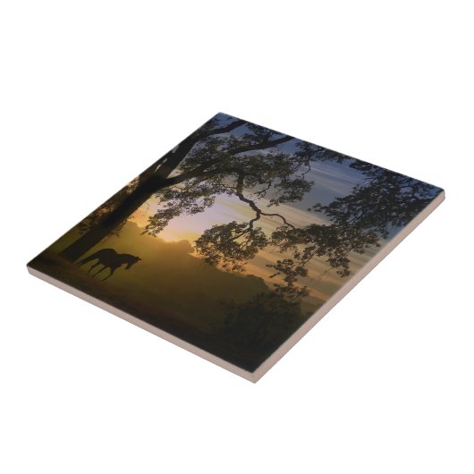 ホースと伝統オークツリー南西サンセット タイル (側面)