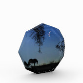 ホースアンドムーンファインアート フォトブロック (左)