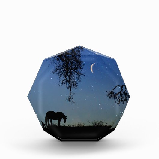 ホースアンドムーンファインアート フォトブロック (正面)