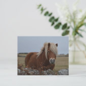 ホースアートプリントはがき ポストカード (スタンド正面)