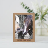 ホースウィスパーラー2馬写真おもしろい写真 ポストカード (スタンド正面)