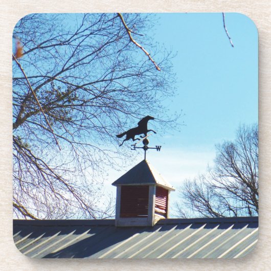 ホースウェザーベーンブルースカイ コースター (正面)