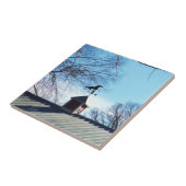 ホースウェザーベーンブルースカイ タイル (側面)