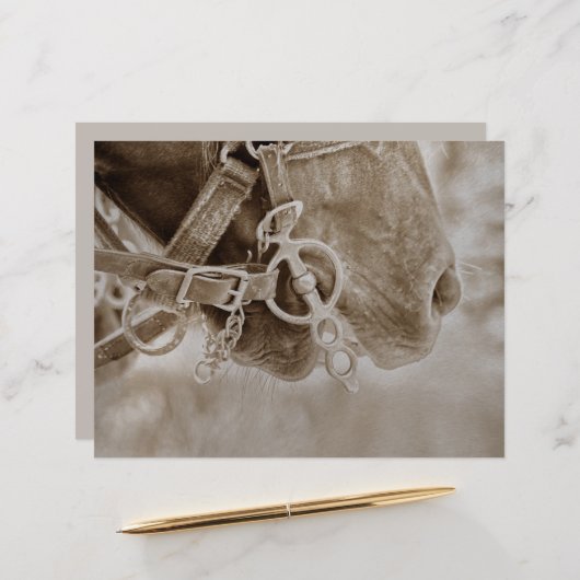 ホースウェスタンヴィンテージセピア素朴デクページ (正面/裏面インサイチュ)