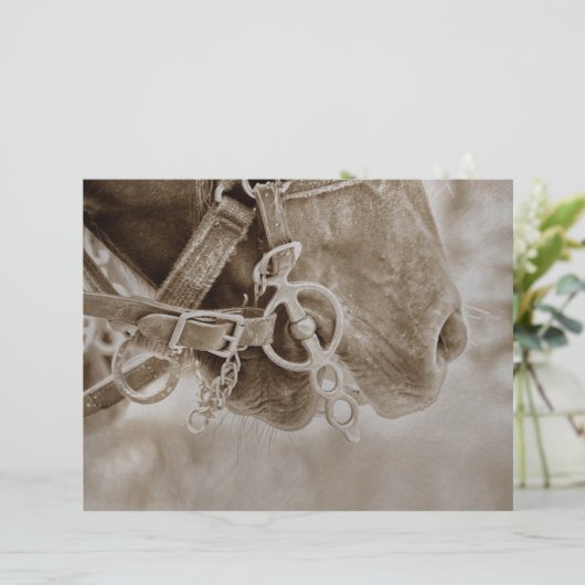 ホースウェスタンヴィンテージセピア素朴デクページ (スタンド正面)