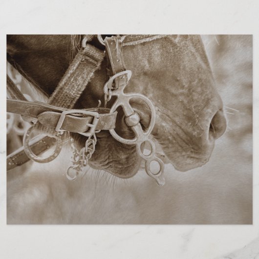 ホースウェスタンヴィンテージセピア素朴デクページ (正面)