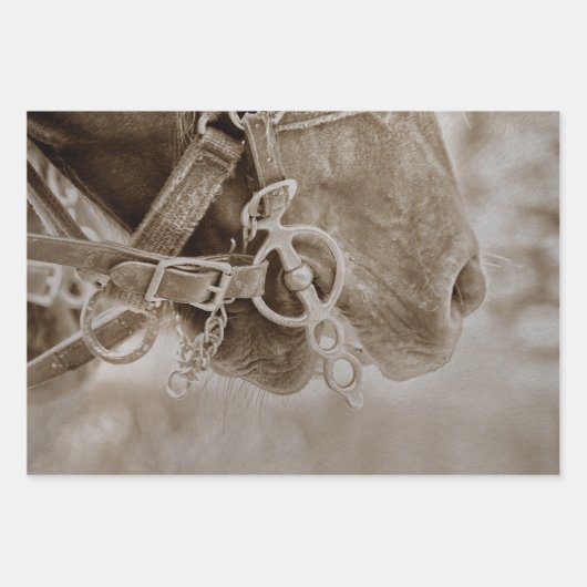 ホースウェスタンヴィンテージセピア素朴デクページ ラッピングペーパーシート (正面2)