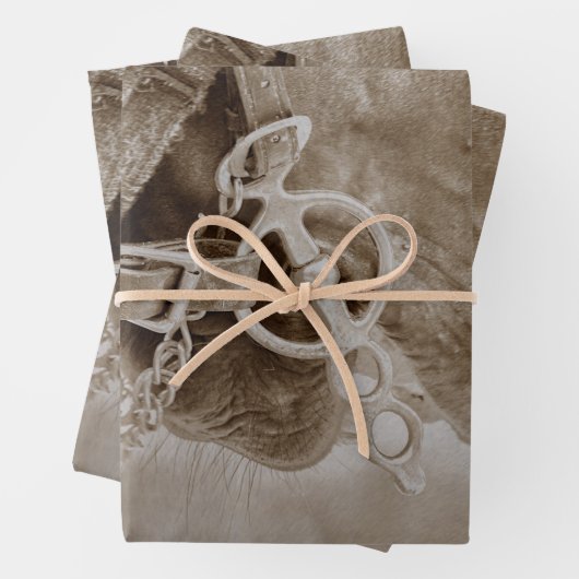 ホースウェスタンヴィンテージセピア素朴デクページ ラッピングペーパーシート (インサイチュ)