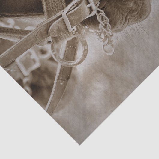 ホースウェスタンヴィンテージセピア素朴デクページ 薄葉紙 (詳細)