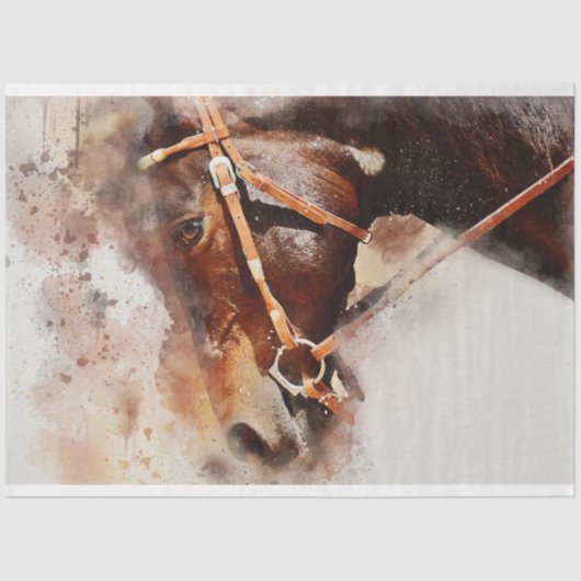 ホースウェスタン・デカップアート 薄葉紙 (正面)