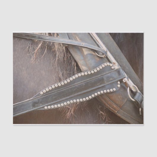 ホースウエスタンブラウンヴィンテージデコパ素朴ージュ 薄葉紙 (正面)