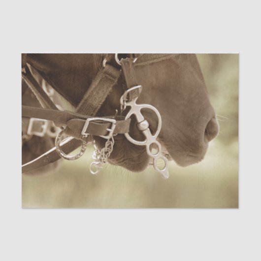 ホースウエスタンヴィンテージブラウングリーンデコパ素朴ージュ 薄葉紙 (正面)