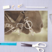 ホースウエスタンヴィンテージブラウングリーンデコパ素朴ージュ 薄葉紙 (クラフト)