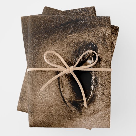 ホースウエスタン素朴ヴィンテージデコパージュ ラッピングペーパーシート (インサイチュ)