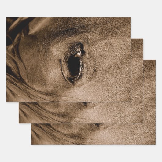 ホースウエスタン素朴ヴィンテージデコパージュ ラッピングペーパーシート (セット)