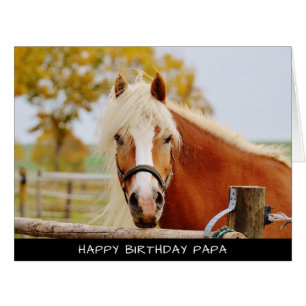 ホースエクストララージ誕生日カード