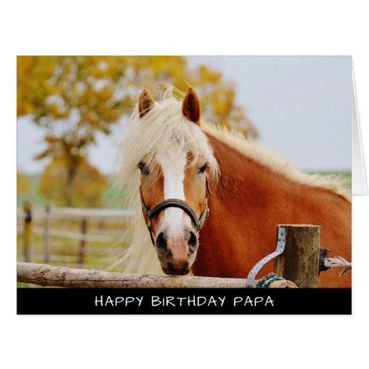 ホースエクストララージ誕生日カード (正面横)