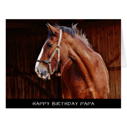 ホースエクストララージ誕生日カード (正面横)