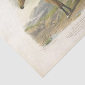 ホースエフェメラデコパージュヴィンテージブラウン 薄葉紙 (詳細)