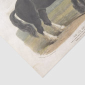 ホースエフェメラデコペヴィンテージオールドイングリッシュブラック 薄葉紙 (詳細)