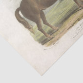 ホースエフェメラデコペヴィンテージサフォーク 薄葉紙 (詳細)