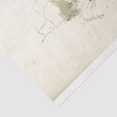 ホースエフエマデクページヴィンテージフランスの安定 薄葉紙 (詳細)