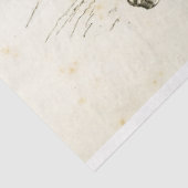 ホースエフエマデコペフランスのヴィンテージ 薄葉紙 (詳細)