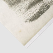 ホースエフエマデコペフランスのヴィンテージ 薄葉紙 (詳細)