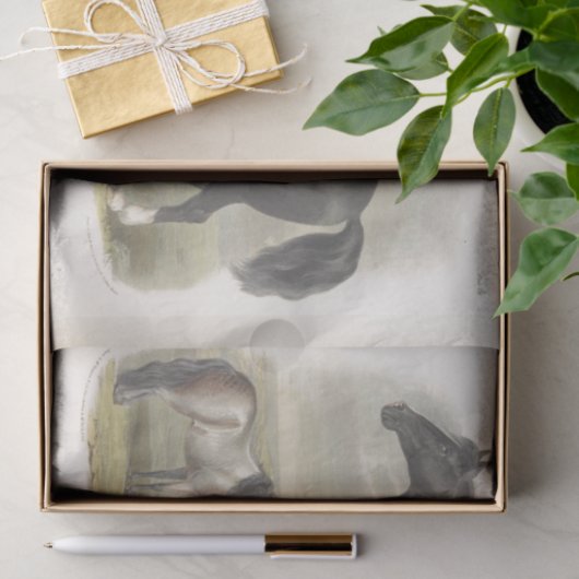 ホースエフエメラデクページヴィンテージクリーデール 薄葉紙 (ギフト)