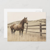 ホースオンザレンジホテルセピアヴィンテージ ポストカード (正面/裏面)
