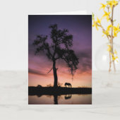 ホースオークツリー自然考えウォーターズオブユー カード (黄色い花)