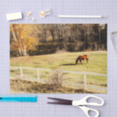 ホースカントリー秋素朴デコパージュ 薄葉紙 (クラフト)