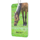 ホースカーの空気清浄機 カーエアーフレッシュナー (左)